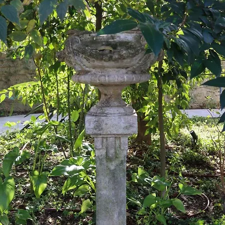 Uporto House Palace Апартаменты