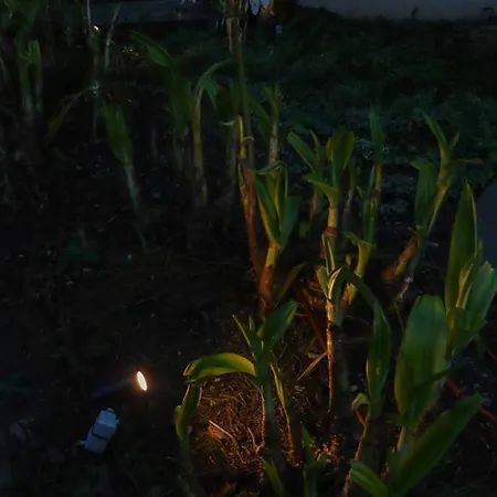 Uporto House Palace * Порту