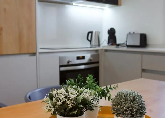 Uporto House Palace Daire