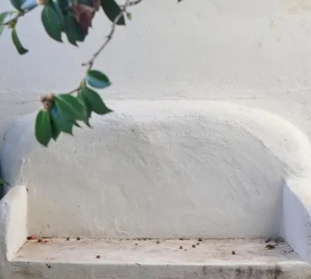 Uporto House Palace 波尔图