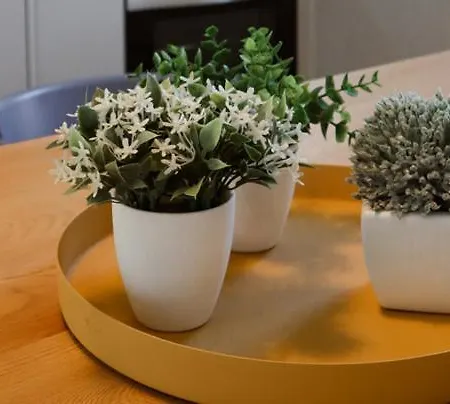 Uporto House Palace *