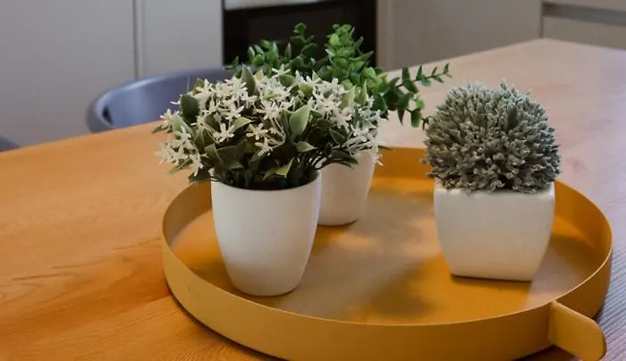 Uporto House Palace *